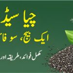 چیا سیڈز کے فوائد، استعمال اور احتیاطی تدابیر – صحت مند زندگی کے لیے مکمل رہنمائی
