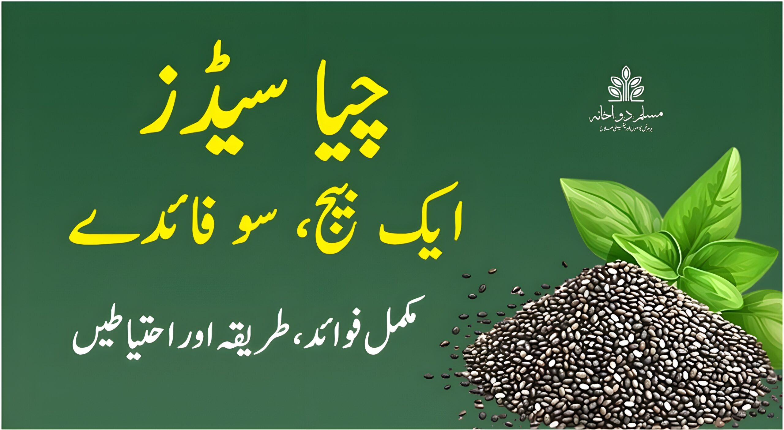 چیا سیڈز کے فوائد، استعمال اور احتیاطی تدابیر – صحت مند زندگی کے لیے مکمل رہنمائی