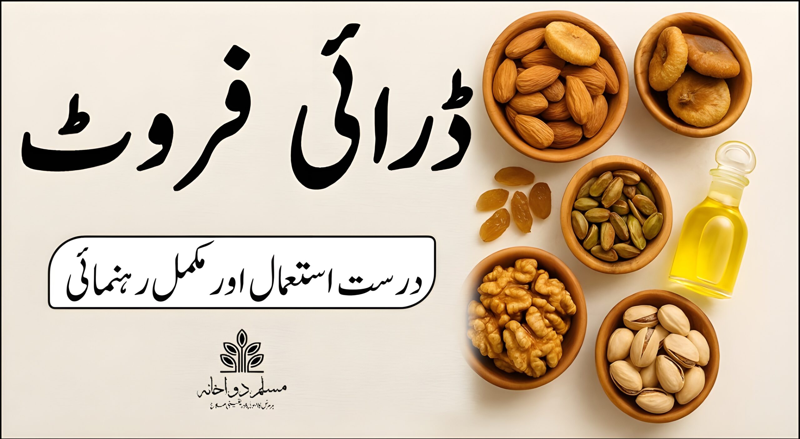 ڈرائی فروٹ کا درست استعمال اور مکمل رہنمائی – صحت بخش غذا کی تفصیل