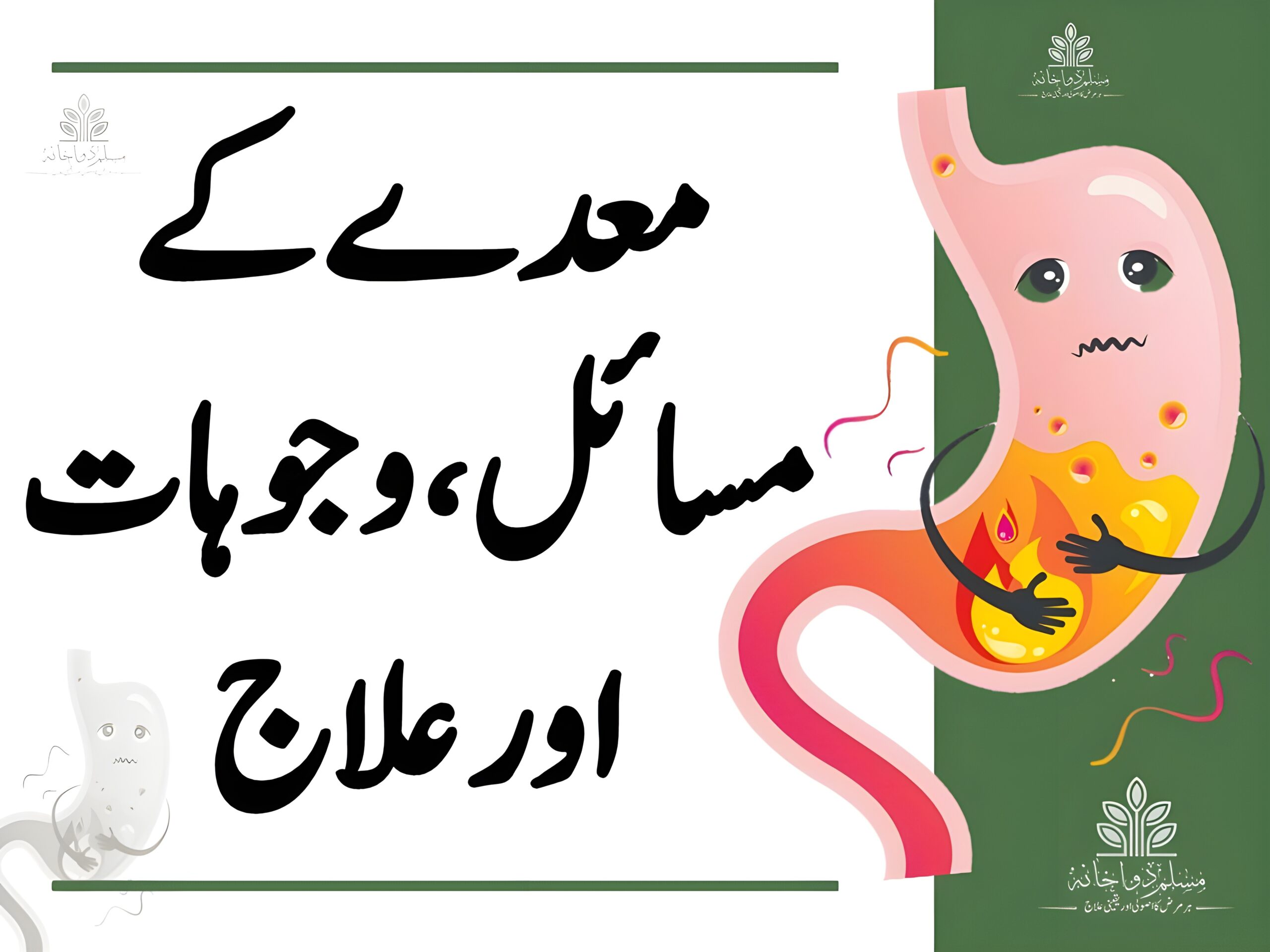 معدے کے مسائل، وجوہات اور علاج