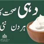 دہی — ہر روز کی صحت، ہر نوالے میں شفا!