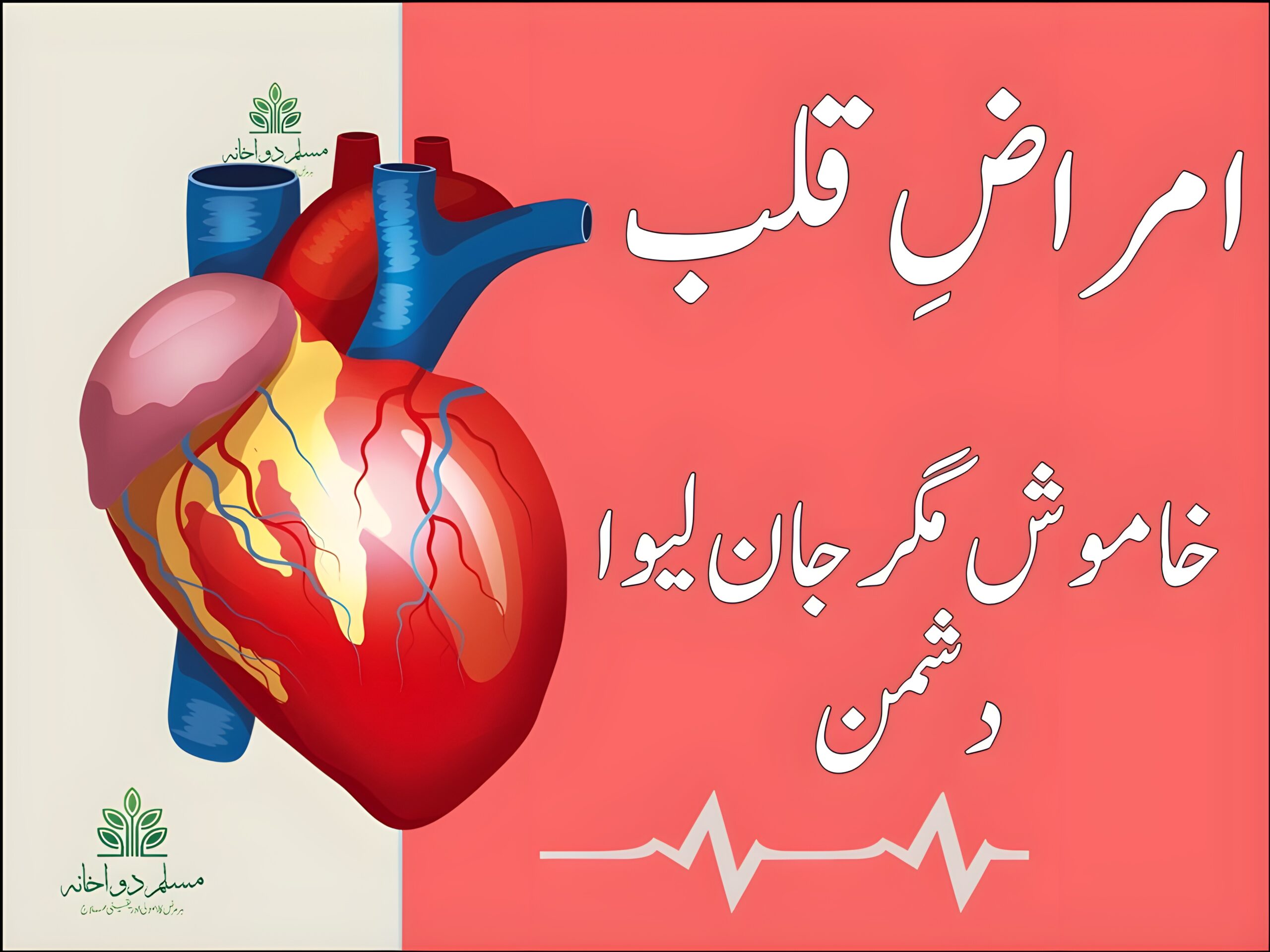 امراضِ قلب کی علامات اور علاج پر مبنی معلوماتی تھمب نیل