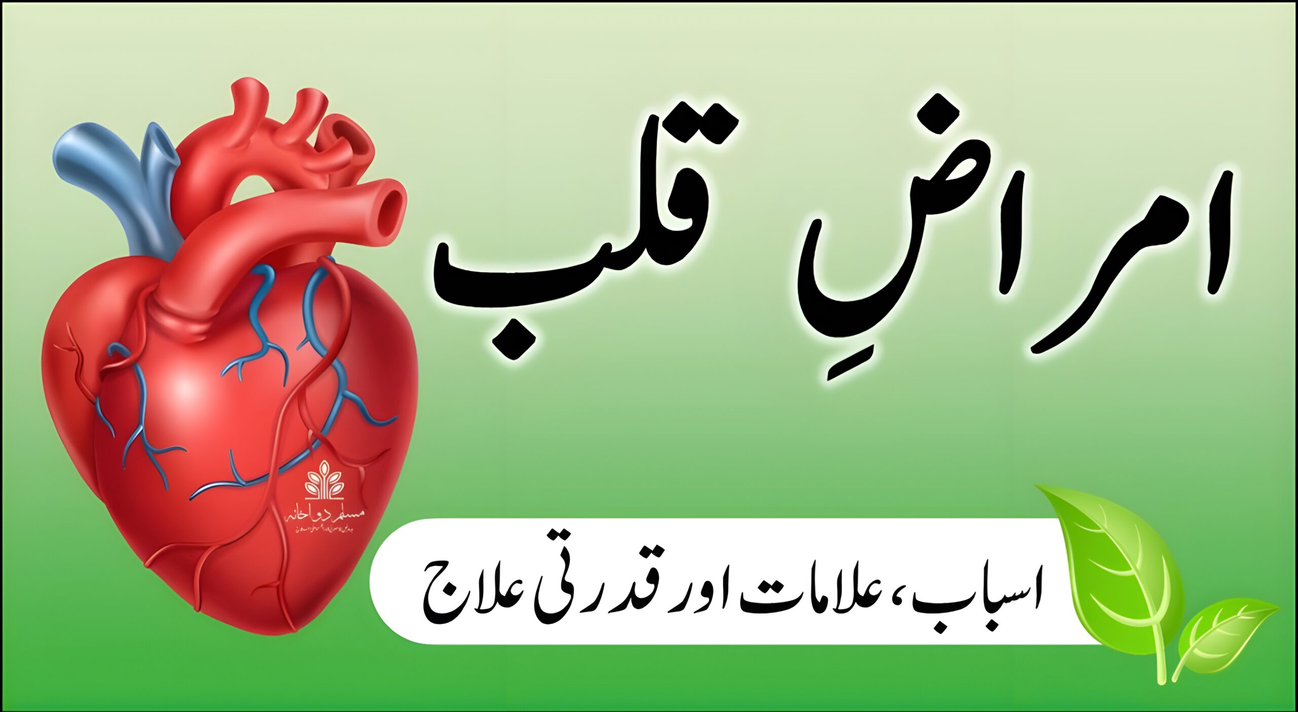 امراضِ قلب کے اسباب، علامات اور ہربل یا قدرتی علاج کی مکمل رہنمائی — دل کی صحت کے لیے مفید معلومات