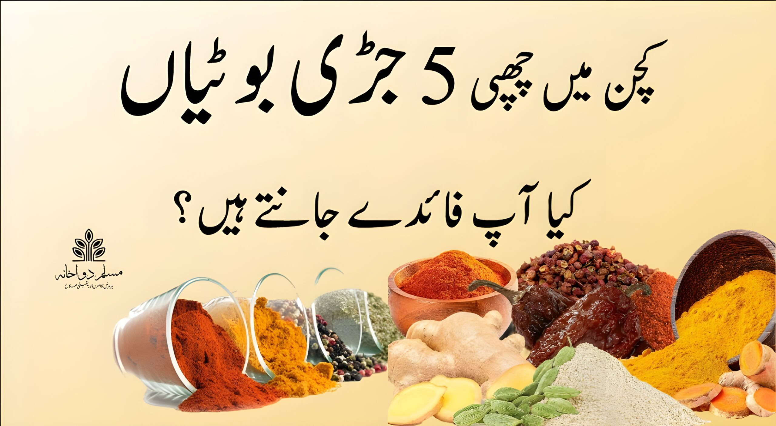 قدیم حکمت کی طاقت، آج کی کچن میں  جانیں ان 5 عام اشیاء کے حیرت انگیز فوائد!