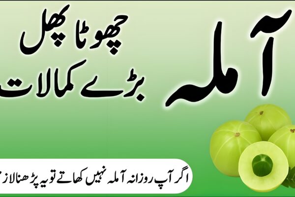 آملہ کا قدرتی پھل جو صحت، جلد، بالوں اور دل کے لیے مفید ہے