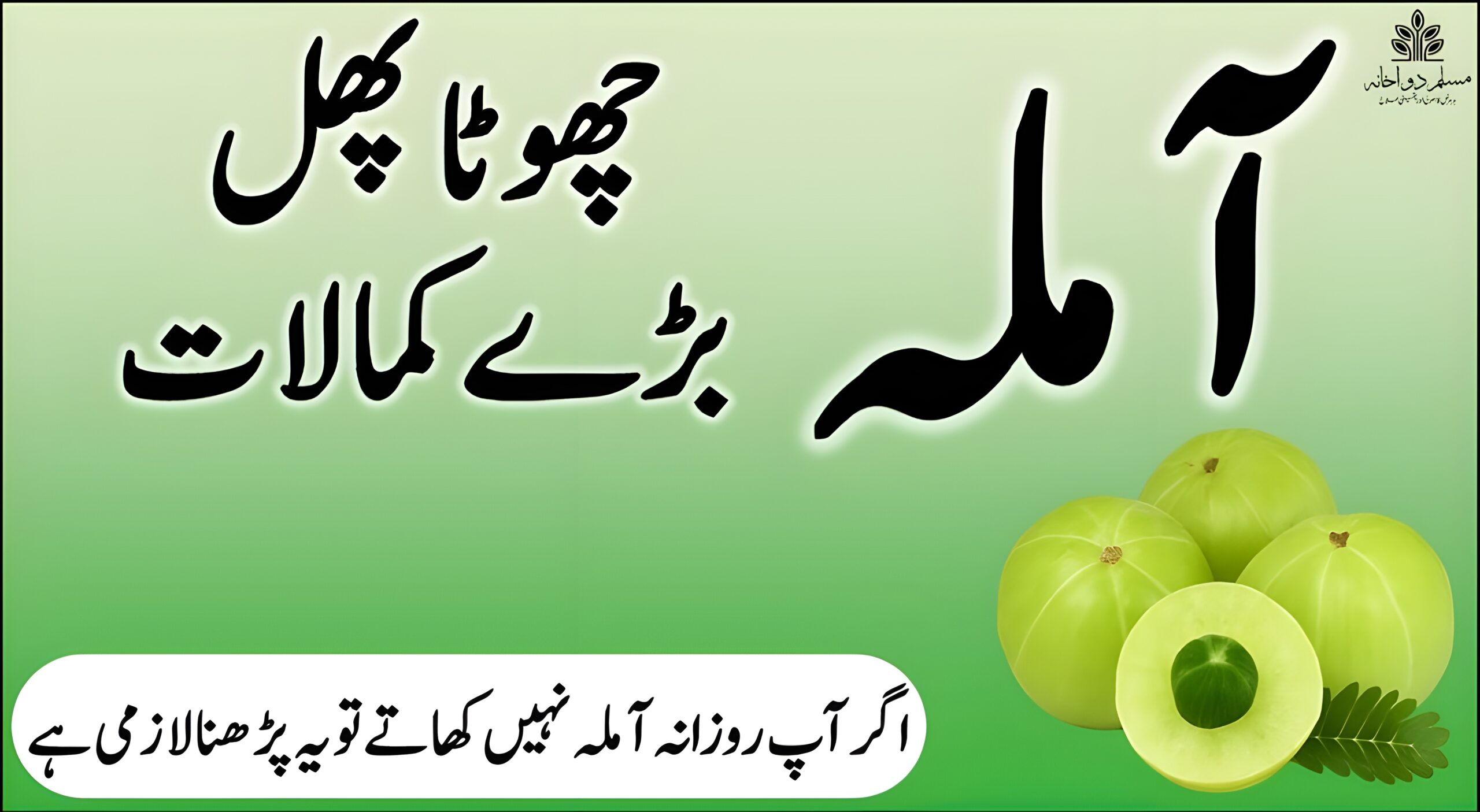 آملہ: قدرت کا انمول تحفہ برائے مکمل صحت
