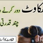 قدرتی اجزاء جیسے شہد، ادرک، لیموں اور جو تھکاوٹ دور کرنے کے لیے استعمال ہو رہے ہیں