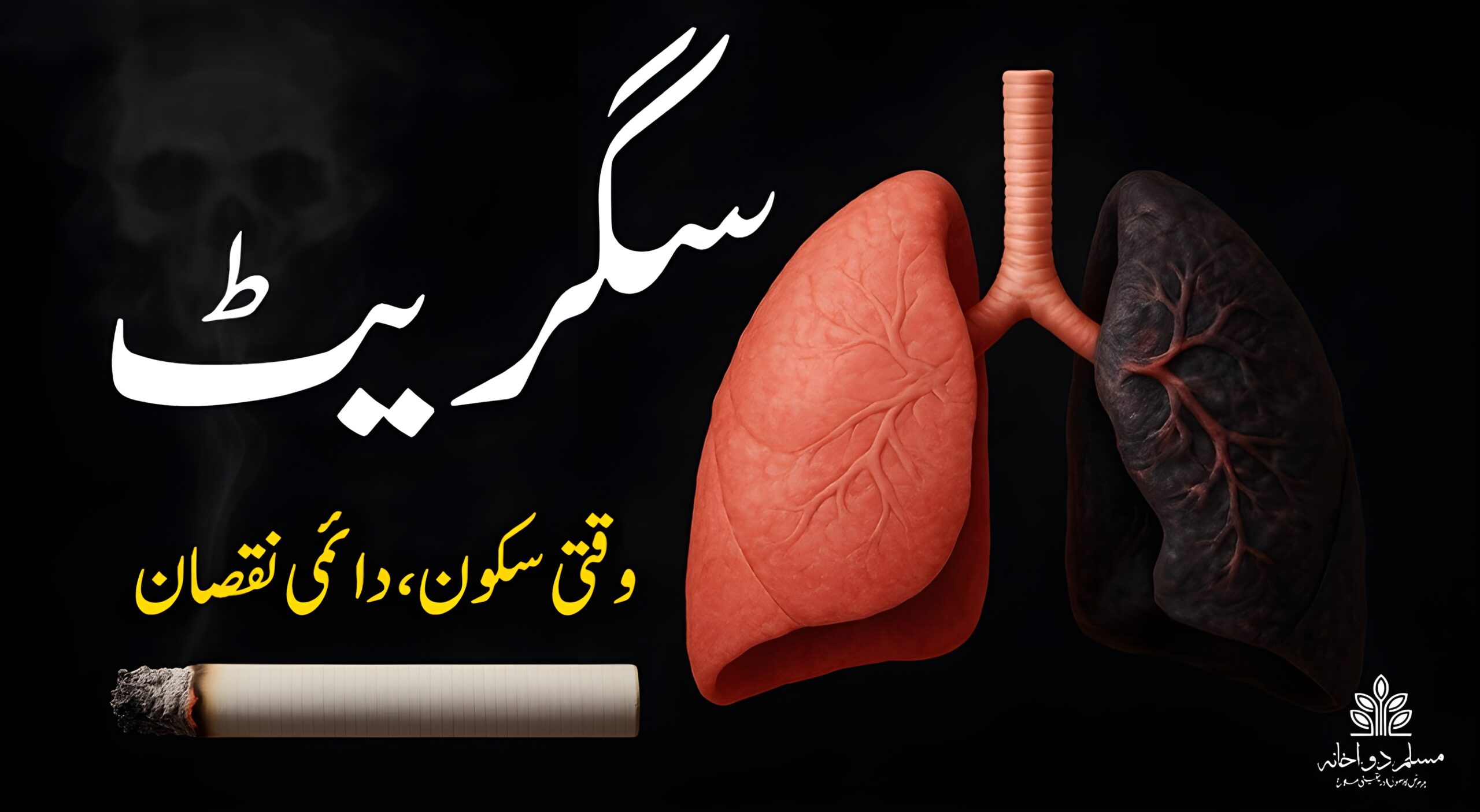 سگریٹ نوشی صحت کے لیے خطرناک ہے — یہ پھیپھڑوں، دل، اور دماغ کو شدید نقصان پہنچاتی ہے۔
