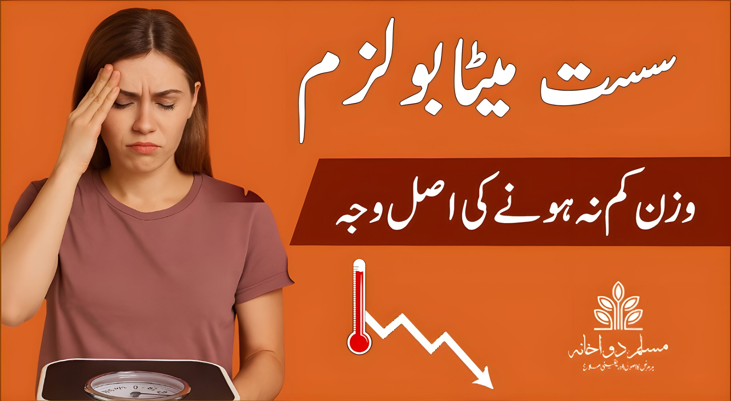 سست میٹابولزم وزن میں رکاوٹ کی اصل وجہ