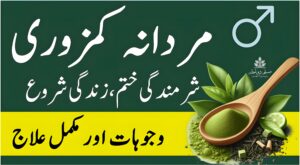 "مردانہ کمزوری کا مکمل یونانی علاج — شرمندگی ختم، زندگی شروع۔ قدرتی جڑی بوٹیوں کے ساتھ مکمل حل اور وجوہات، مسلم دواخانہ کی پیشکش۔"