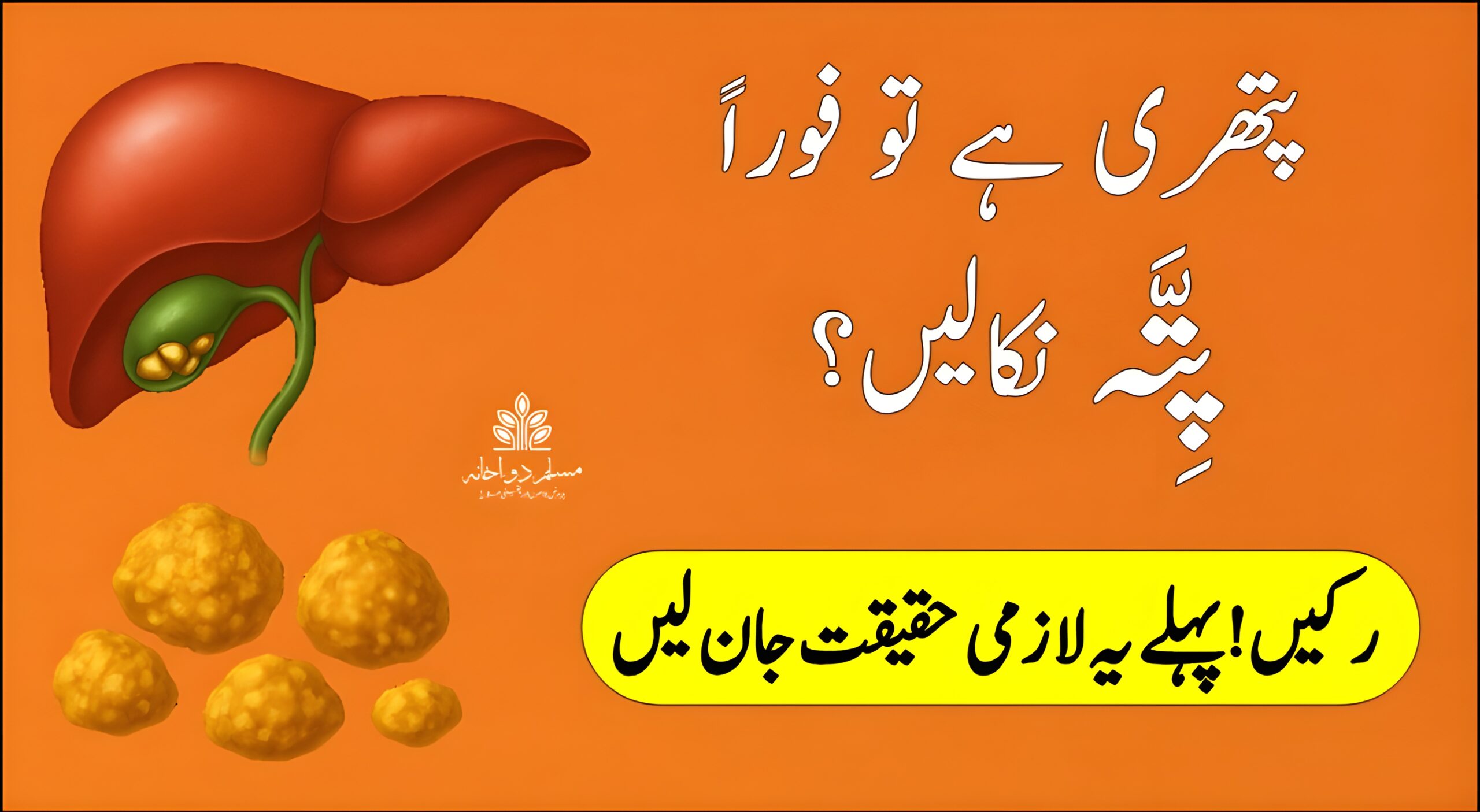 پتے کی پتھری کی علامات، وجوہات اور ہربل علاج — قدرتی طریقے سے پتھری کا مؤثر علاج، بغیر آپریشن