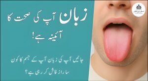 زبان کی تصویر جگر اور صحت کی علامات کے ساتھ