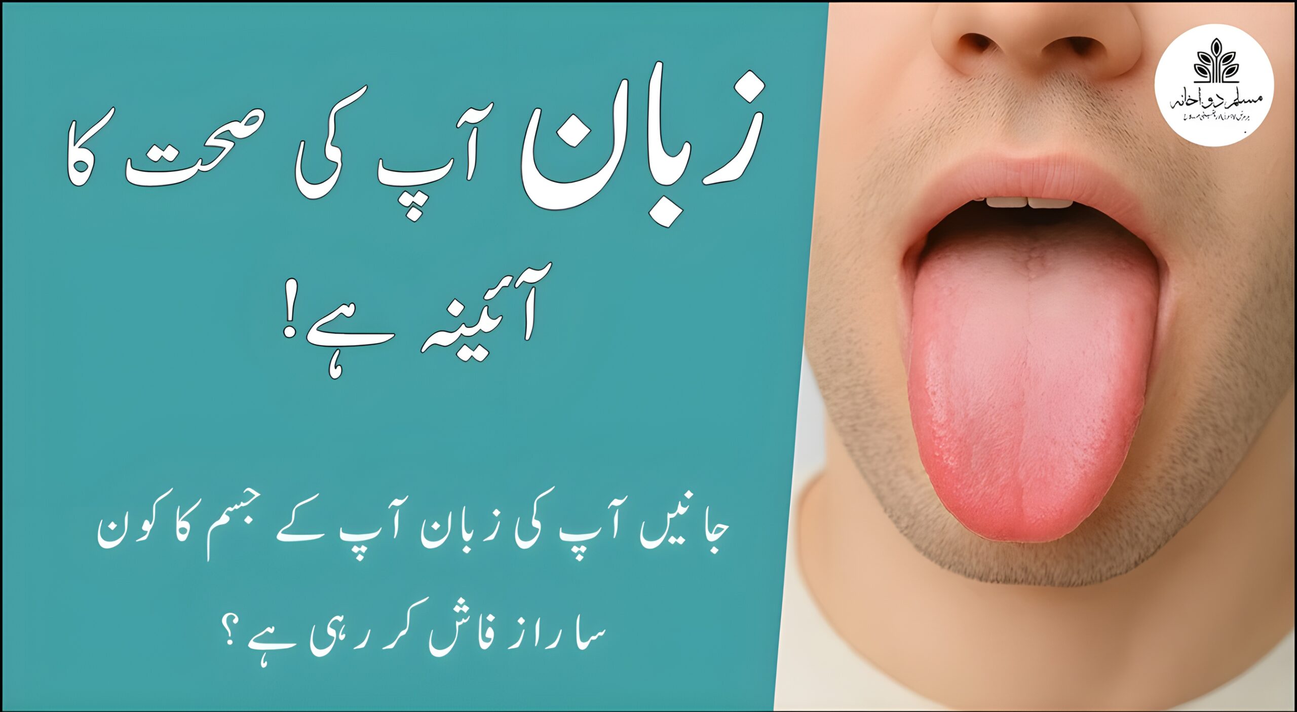 زبان کی تصویر جگر اور صحت کی علامات کے ساتھ