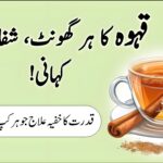 قدرتی جڑی بوٹیوں سے تیار کردہ قہوہ کا کپ، جو ہر گھونٹ میں شفاء اور آرام کا پیغام دیتا ہے