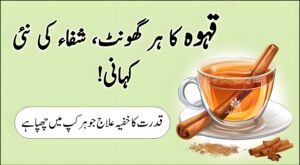 قدرتی جڑی بوٹیوں سے تیار کردہ قہوہ کا کپ، جو ہر گھونٹ میں شفاء اور آرام کا پیغام دیتا ہے