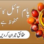 پام آئل کی بوتل اور فرائیڈ فوڈ کا قریبی منظر