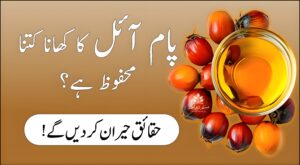 پام آئل کی بوتل اور فرائیڈ فوڈ کا قریبی منظر