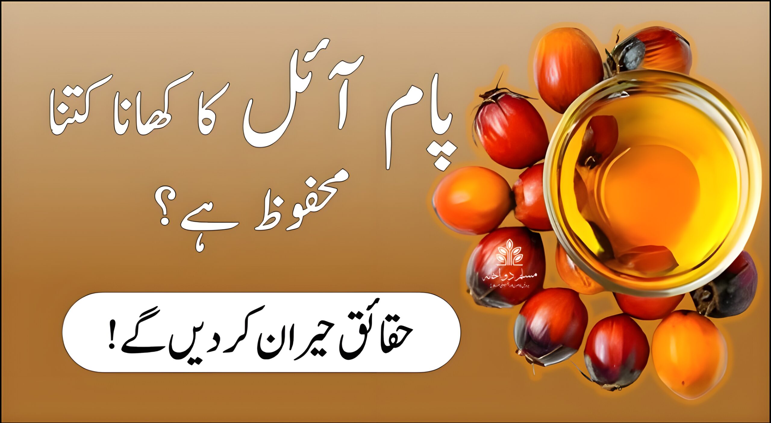 پام آئل کی بوتل اور فرائیڈ فوڈ کا قریبی منظر