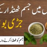 جسم ٹھنڈا رکھنے والی جڑی بوٹیاں، قدرتی نسخہ گرمیوں کے لیے