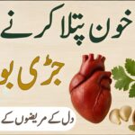 خون پتلا کرنے والی قدرتی جڑی بوٹیاں دل کی صحت کے لیے