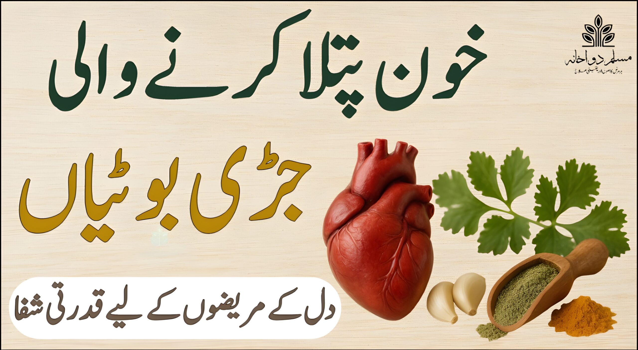خون پتلا کرنے والی جڑی بوٹیاں: دل کے مریضوں کے لیے قدرتی متبادل خون پتلا کرنے والی قدرتی جڑی بوٹیاں دل کی صحت کے لیے