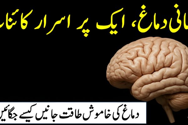 انسانی دماغ , ایک پراسرار کائنات انسانی دماغ کی ایک حقیقت پر مبنی تصویر، جس میں دماغ کے پیچیدہ حصے اور خالی جگہ ٹیکسٹ کے لیے موجود ہے۔