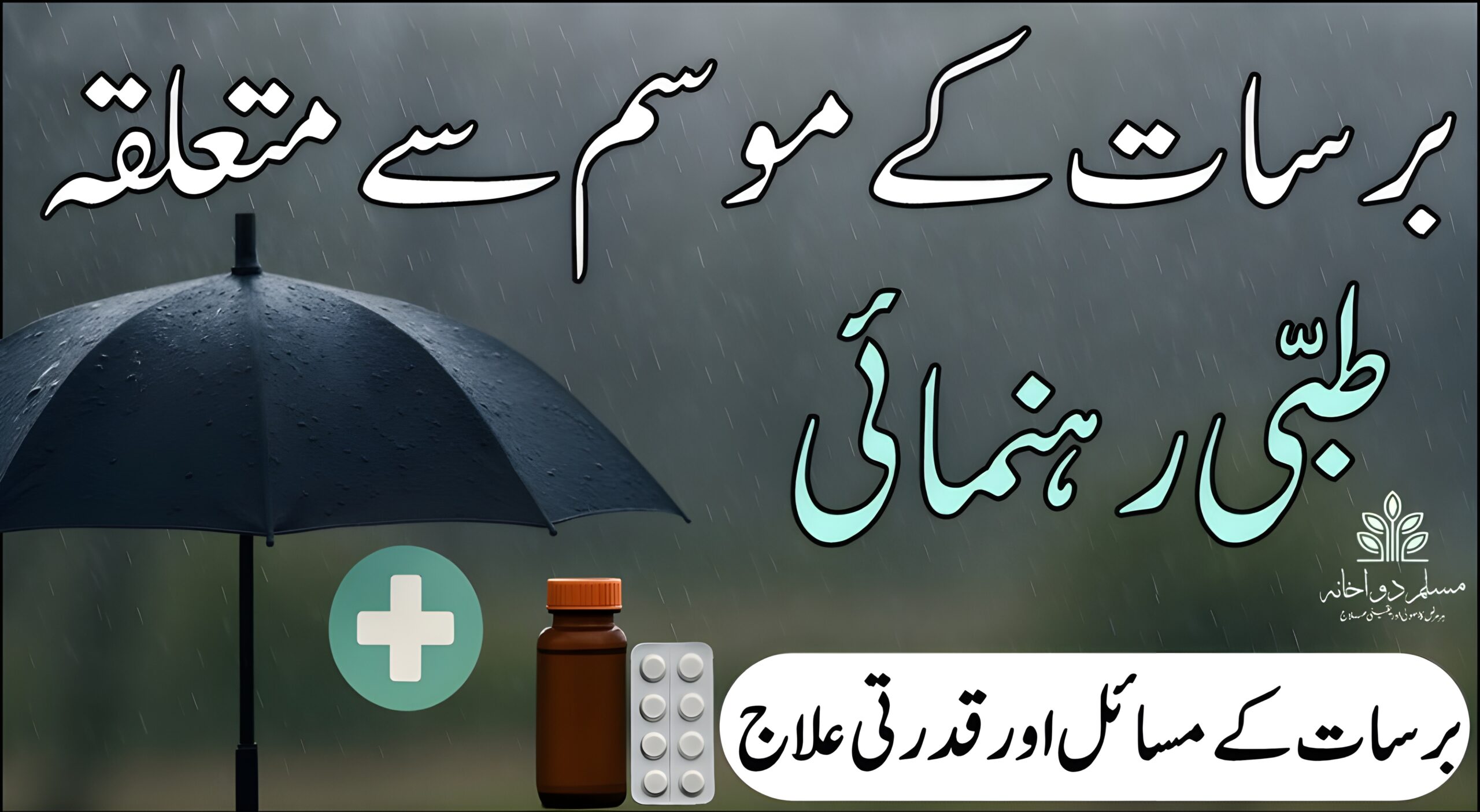 برسات کی فضا میں صحت کی حفاظت کیسے کریں؟ طبی مشورے اور قدرتی نسخے۔

