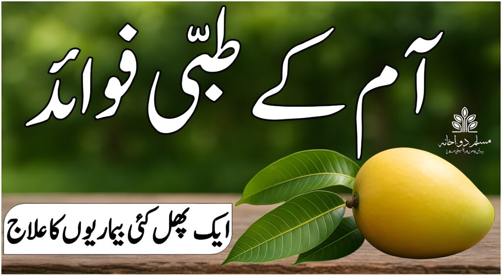 آم کے طبی فوائد – قدرتی علاج اور توانائی کا خزانہ
