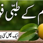 آم کے طبی فوائد – قدرتی علاج اور توانائی کا خزانہ