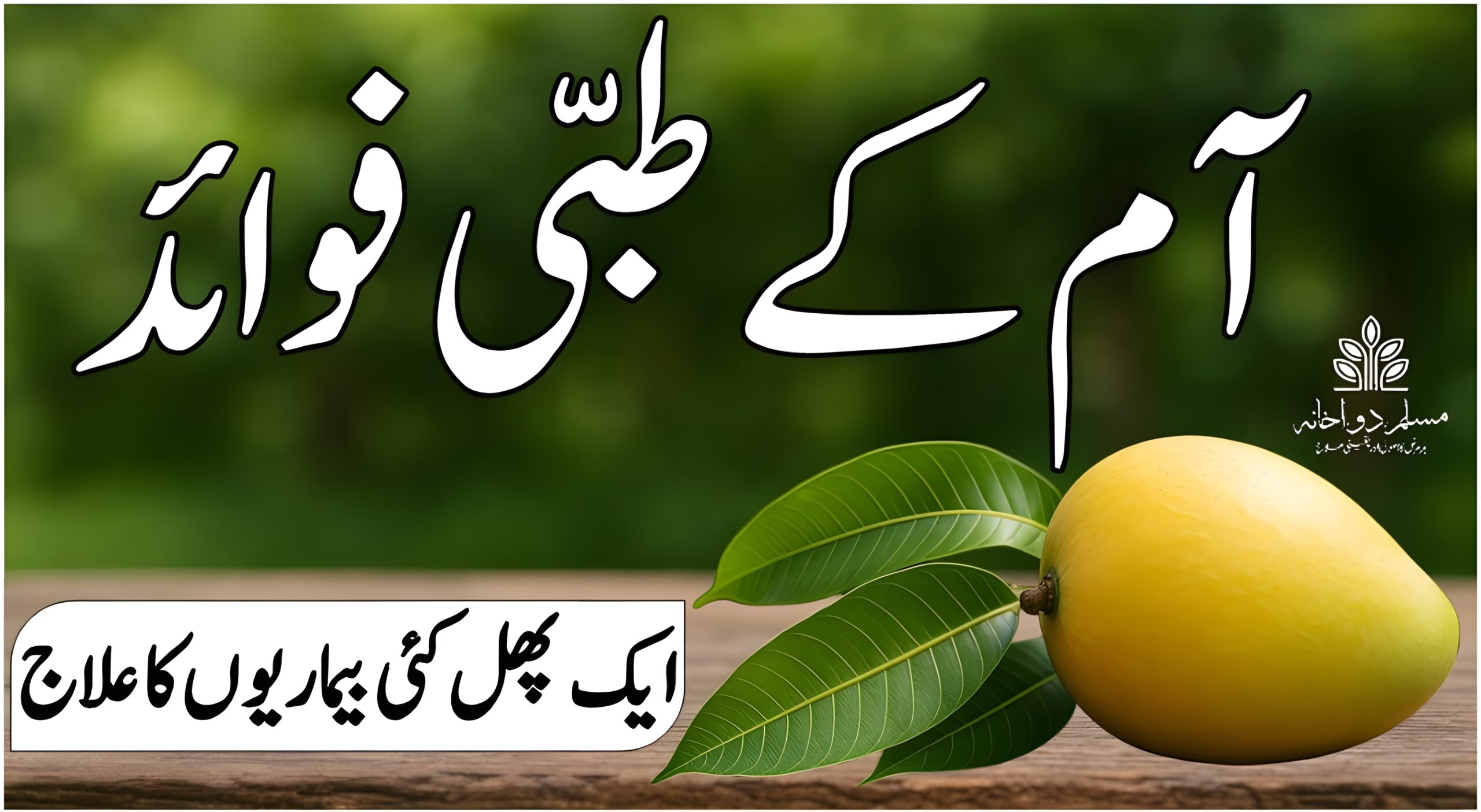 آم کے طبی فوائد – ایک پھل، کئی بیماریوں کا علاج

