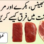 گائے، بھینس، بکرے اور مرغی کے گوشت میں فرق کیسے کریں؟ مکمل رہنمائی