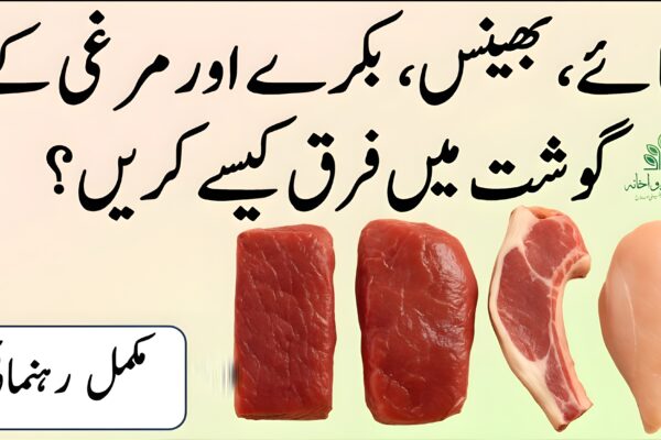 گائے، بھینس، بکرے اور مرغی کے گوشت میں فرق کیسے کریں؟ مکمل رہنمائی
