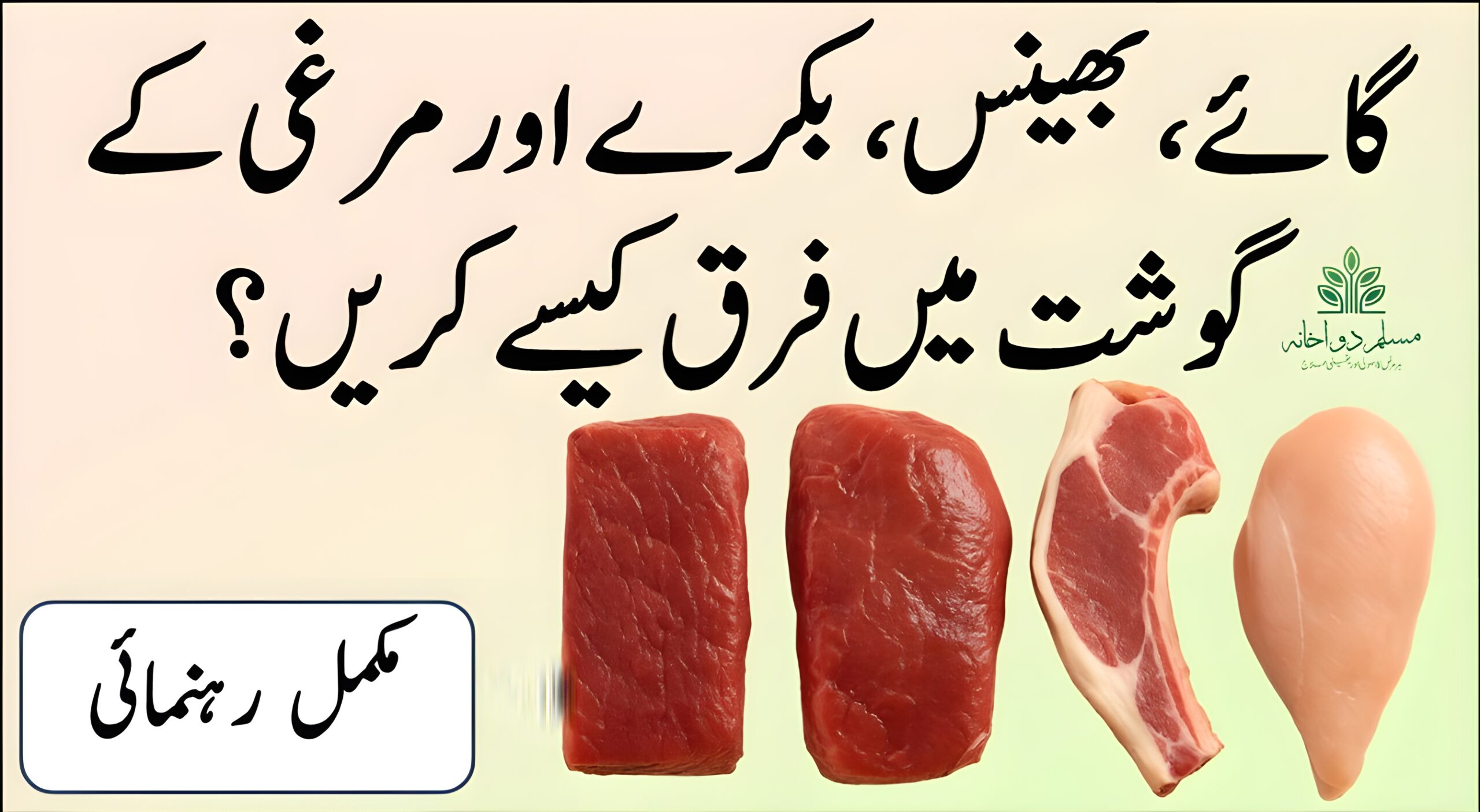 گوشت کی اقسام میں فرق – صحت مند انتخاب کے لیے مکمل گائیڈ