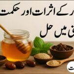 جدید دور کے اثرات اور حکمت کی روشنی میں حل – یونانی و دیسی نسخے