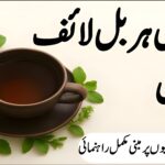 خالص ہربل لائف اسٹائل – نئی نسل کے لیے راہنما