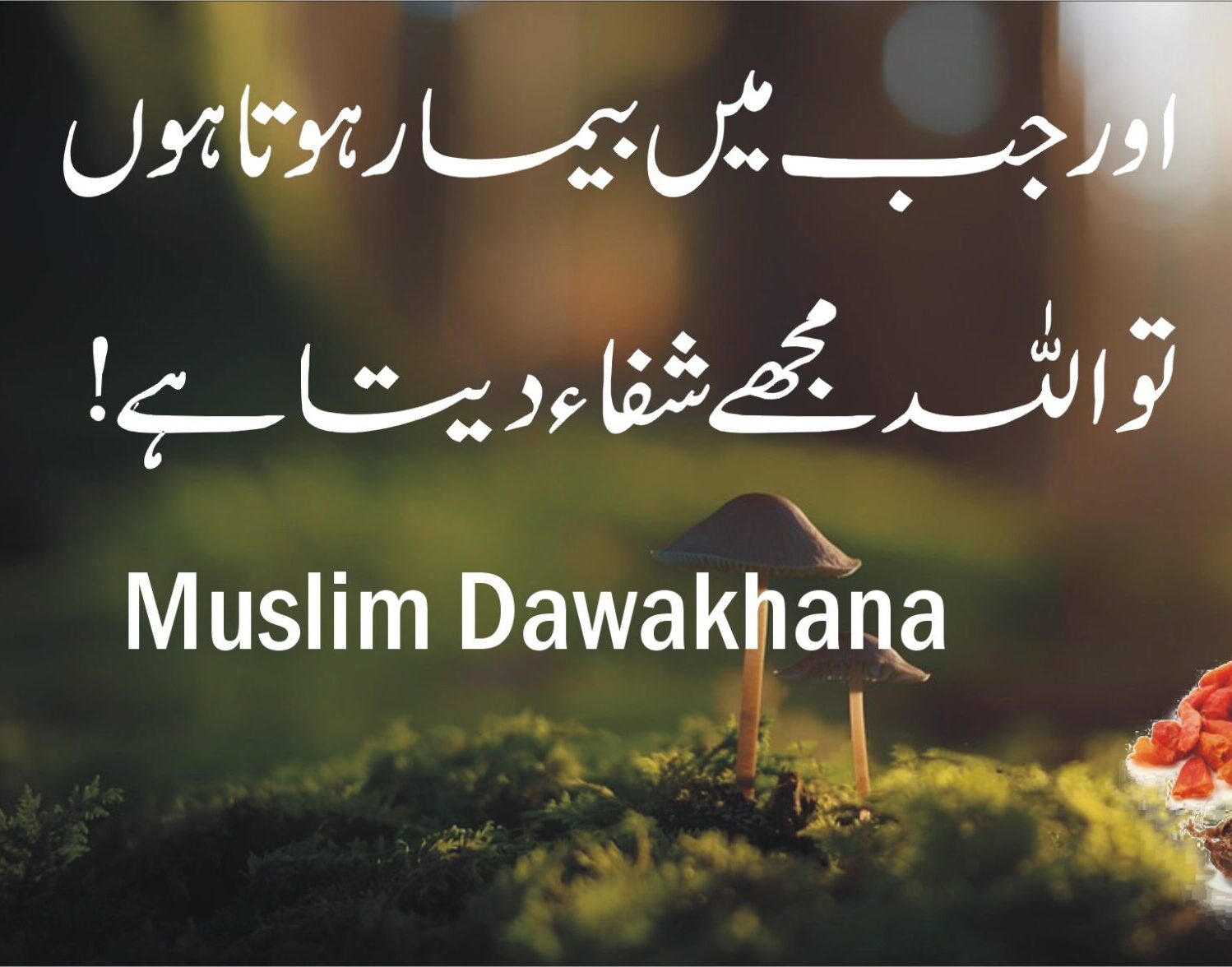 Muslim Dawakhan